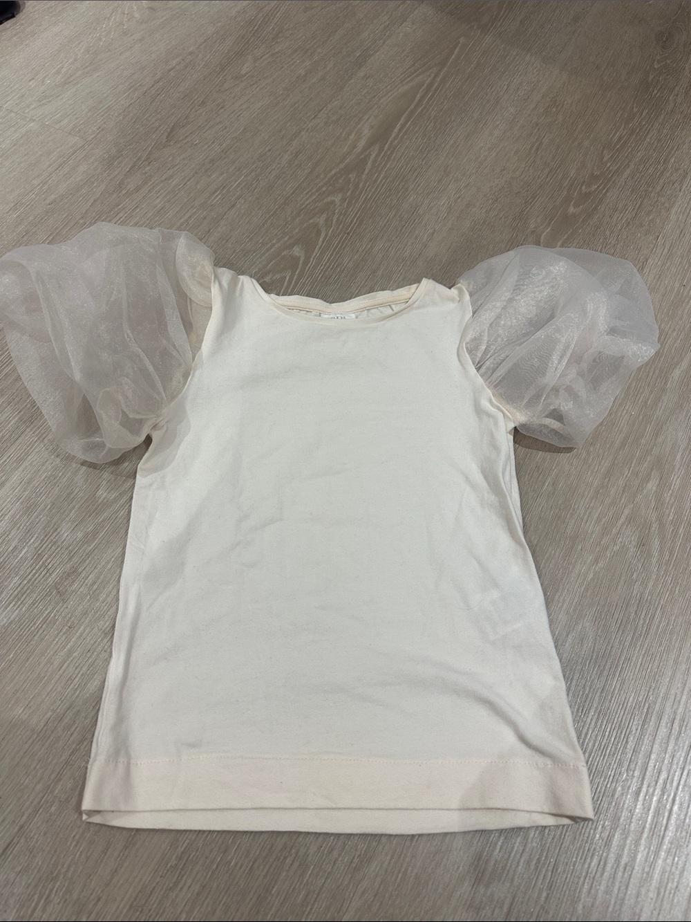 Zara Cream Puff-Sleeve Tee with Sheer Organza Sleeves